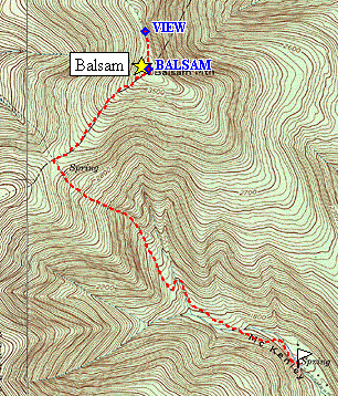 Balsam82005.gif (73670 bytes)