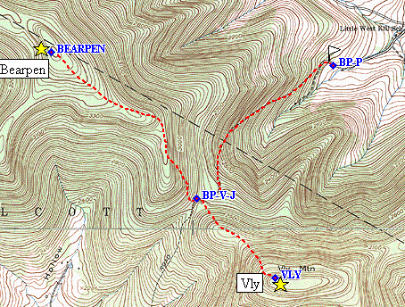 BearpenVly.gif (105311 bytes)