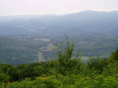 P8190093.jpg (39076 bytes)