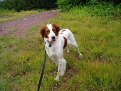 P8190096.JPG (66302 bytes)