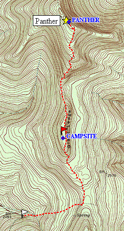 Panther82005.gif (78571 bytes)