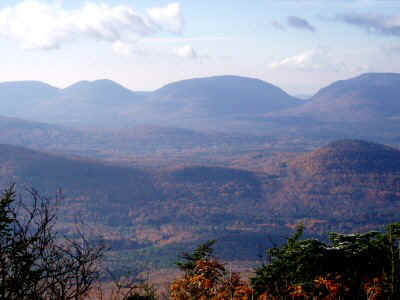 PA170012.JPG (42206 bytes)