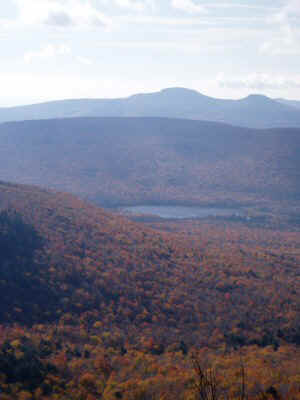 PA170017.JPG (36050 bytes)