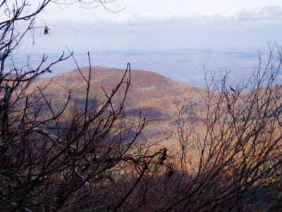 PA170020.JPG (57173 bytes)