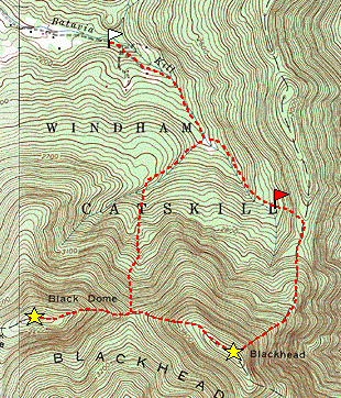 Dome2005.gif (74496 bytes)