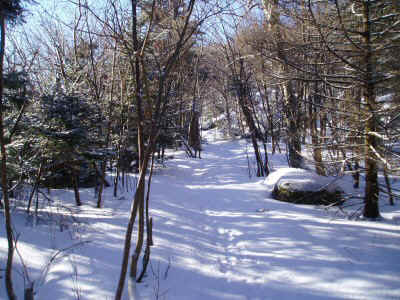 P2200026.JPG (74067 bytes)