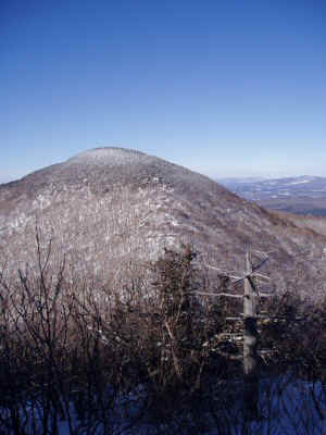 P2200032.JPG (46095 bytes)