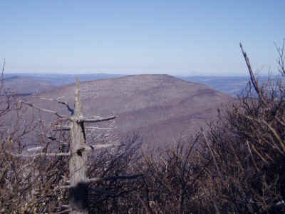 P2200033.JPG (45628 bytes)