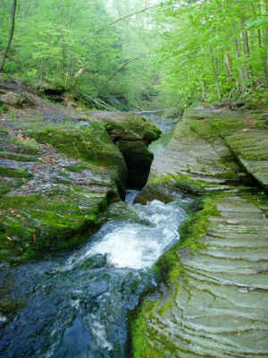 P5150023.JPG (69080 bytes)