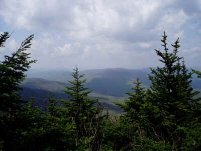 P5150036.JPG (45578 bytes)