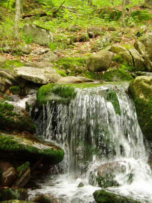 P5150044.JPG (74813 bytes)