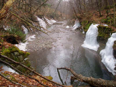 P4010006.jpg (85346 bytes)