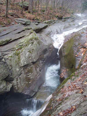 P4010007.jpg (83562 bytes)