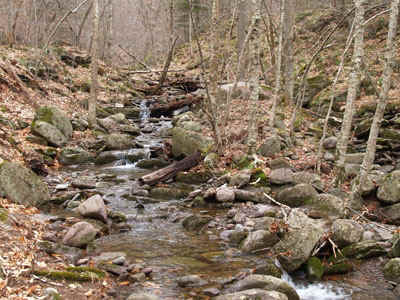 P4010778.jpg (104870 bytes)