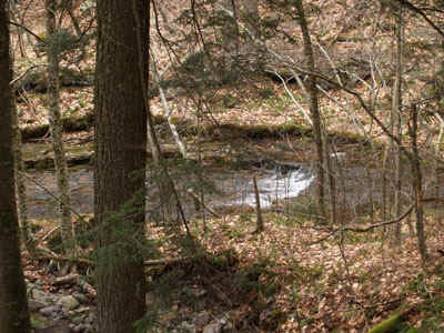 P4010781.jpg (99131 bytes)