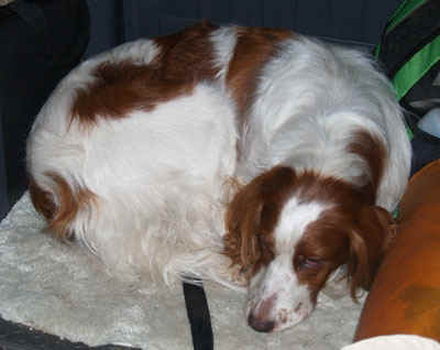 P4010784.jpg (62807 bytes)