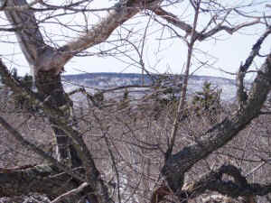 P3190023.JPG (49321 bytes)