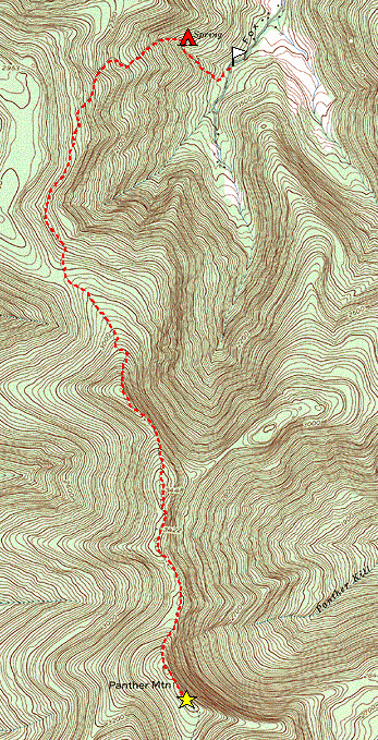 Panther.gif (159942 bytes)