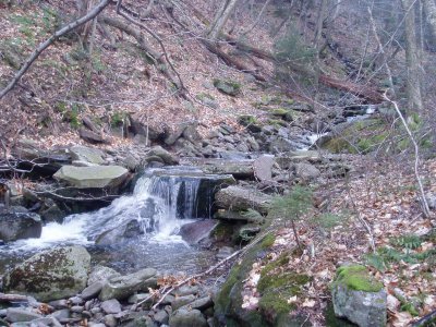 Neversink Tributary
