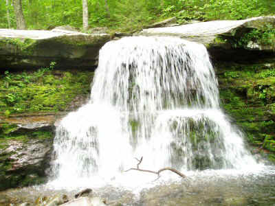 P6040037.JPG (65611 bytes)