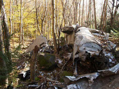 PA300264.JPG (25788 bytes)