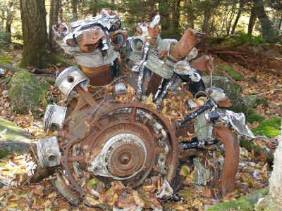 PA300277.JPG (26026 bytes)