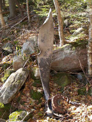 PA300285.JPG (25706 bytes)