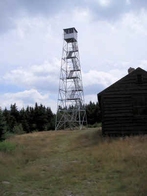 p7290060.jpg (35392 bytes)