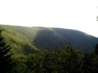 p7290073.jpg (36556 bytes)