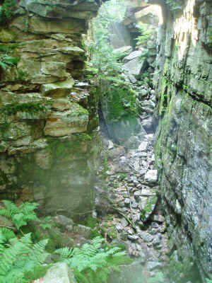 P7300207.JPG (79433 bytes)