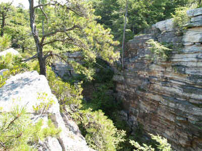 P7301306.JPG (83098 bytes)