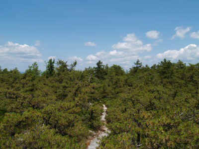 P7301309.JPG (53040 bytes)