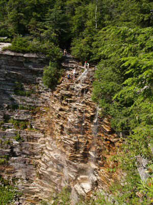 P7301330.JPG (86450 bytes)