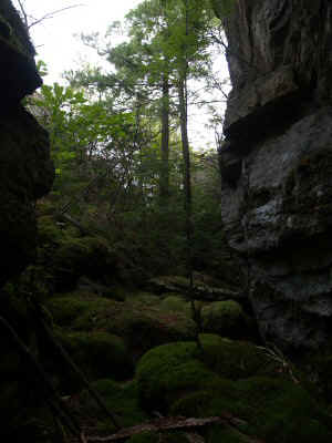 P8191422.JPG (49191 bytes)