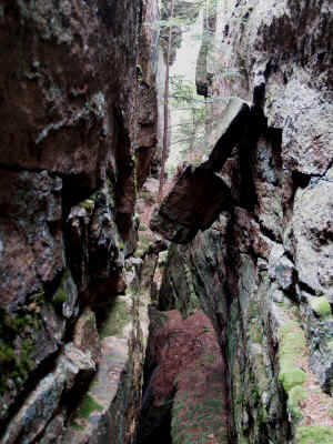 P8191426.JPG (71589 bytes)