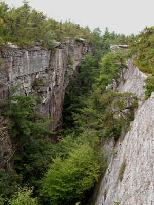 P8191429.JPG (66942 bytes)