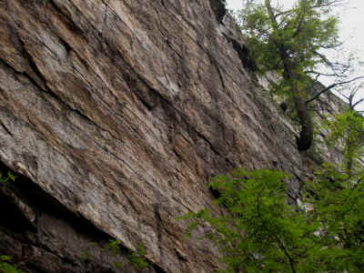 P8191434.JPG (73495 bytes)