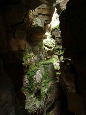 P8191446.JPG (42844 bytes)