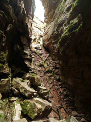 P8191461.JPG (60474 bytes)