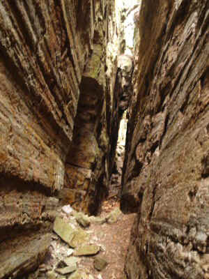 P8191470.JPG (68778 bytes)