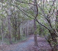 FHFields-Preview.jpg (15665 bytes)