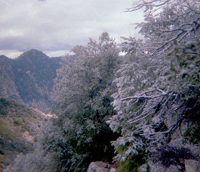 Above Mt. Lowe