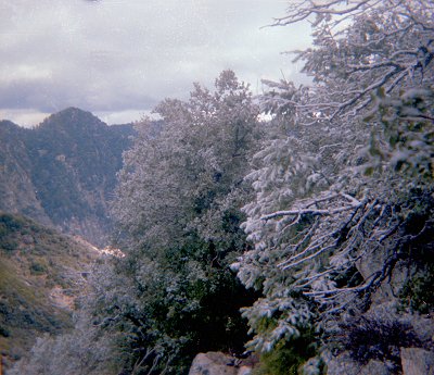 Above Mt. Lowe