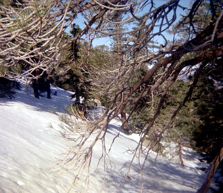 Twin Peaks Saddle