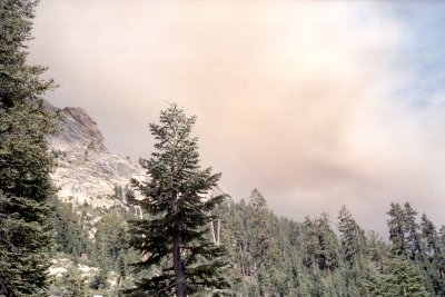 Sierra02-01-16.jpg (27912 bytes)