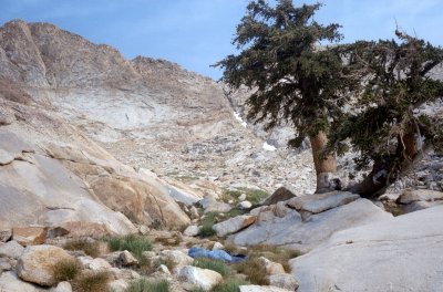 Sierra02-0622.jpg (35537 bytes)