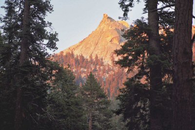 Sierra02-01-19.jpg (44914 bytes)