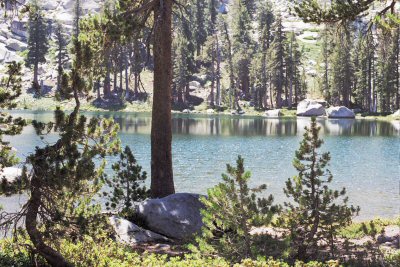 Sierra02-01-19.jpg (44914 bytes)