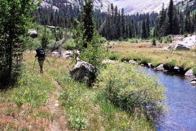 Sierra02-03-05.jpg (17753 bytes)