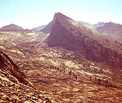 s77-1-19.jpg (54998 bytes)